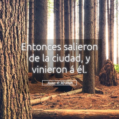 Picture 05 - Juan 4:30 RVA - Entonces salieron de la ciudad, y vinieron á - Bible Verse Picture