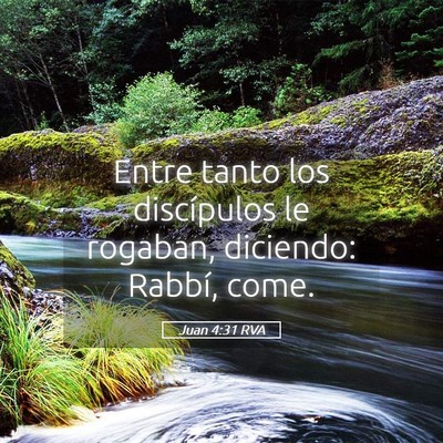 Picture 05 - Juan 4:31 RVA - Entre tanto los discípulos le rogaban, diciendo: - Bible Verse Picture