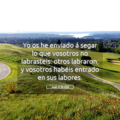 Picture 05 - Juan 4:38 RVA - Yo os he enviado á segar lo que vosotros no - Bible Verse Picture