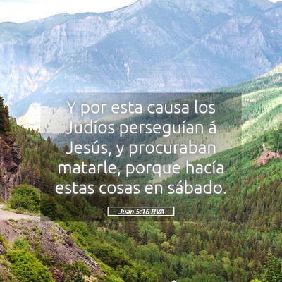 Picture 05 - Juan 5:16 RVA - Y por esta causa los Judíos perseguían á - Bible Verse Picture