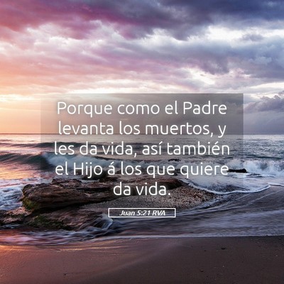 Picture 05 - Juan 5:21 RVA - Porque como el Padre levanta los muertos, y les - Bible Verse Picture