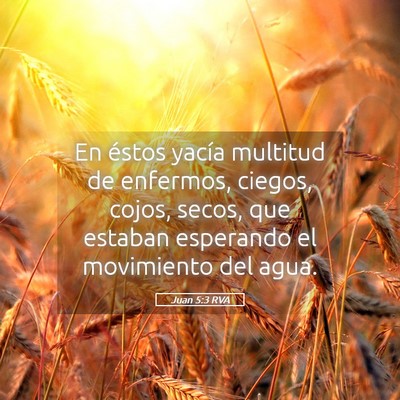 Picture 05 - Juan 5:3 RVA - En éstos yacía multitud de enfermos, ciegos, - Bible Verse Picture