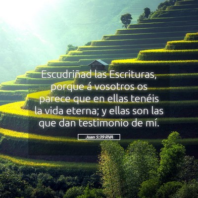 Picture 05 - Juan 5:39 RVA - Escudriñad las Escrituras, porque á vosotros os - Bible Verse Picture