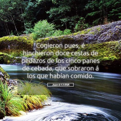 Picture 05 - Juan 6:13 RVA - Cogieron pues, é hinchieron doce cestas de - Bible Verse Picture