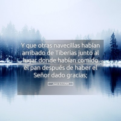 Picture 05 - Juan 6:23 RVA - Y que otras navecillas habían arribado de - Bible Verse Picture
