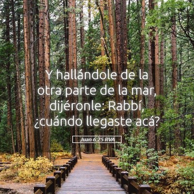 Picture 05 - Juan 6:25 RVA - Y hallándole de la otra parte de la mar, - Bible Verse Picture