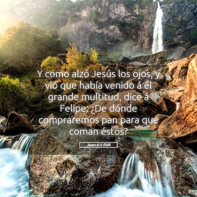 Picture 05 - Juan 6:5 RVA - Y como alzó Jesús los ojos, y vió que había - Bible Verse Picture