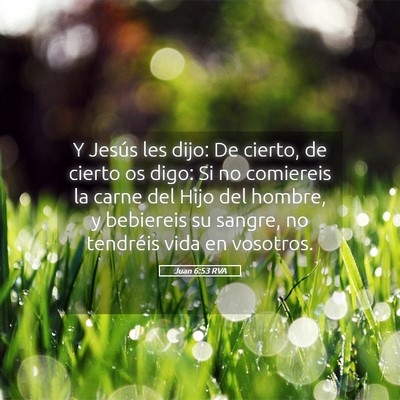 Picture 05 - Juan 6:53 RVA - Y Jesús les dijo: De cierto, de cierto os digo: - Bible Verse Picture
