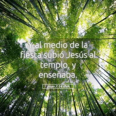 Picture 05 - Juan 7:14 RVA - Y al medio de la fiesta subió Jesús al templo, - Bible Verse Picture
