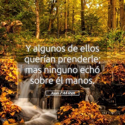 Picture 05 - Juan 7:44 RVA - Y algunos de ellos querían prenderle; mas - Bible Verse Picture