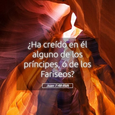 Picture 05 - Juan 7:48 RVA - ¿Ha creído en él alguno de los príncipes, ó - Bible Verse Picture