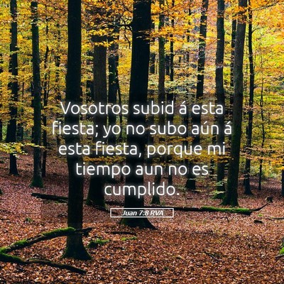 Picture 05 - Juan 7:8 RVA - Vosotros subid á esta fiesta; yo no subo aún á - Bible Verse Picture