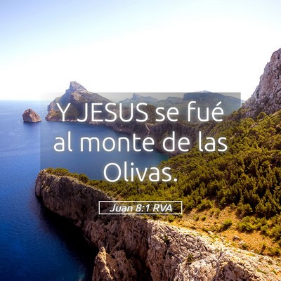 Picture 05 - Juan 8:1 RVA - Y JESUS se fué al monte de las - Bible Verse Picture