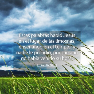 Picture 05 - Juan 8:20 RVA - Estas palabras habló Jesús en el lugar de las - Bible Verse Picture