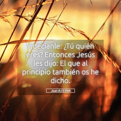 Picture 05 - Juan 8:25 RVA - Y decíanle: ¿Tú quién eres? Entonces Jesús - Bible Verse Picture