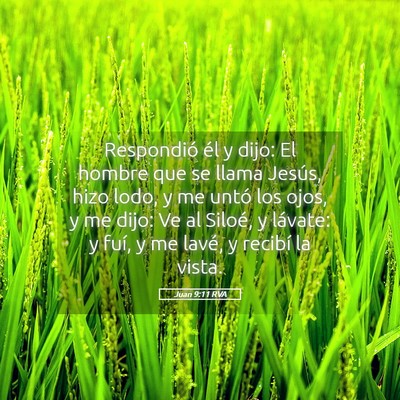 Picture 05 - Juan 9:11 RVA - Respondió él y dijo: El hombre que se llama - Bible Verse Picture