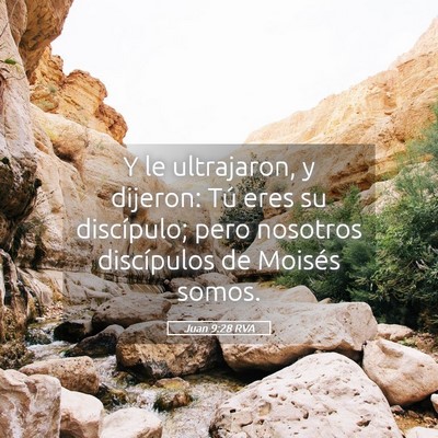 Picture 05 - Juan 9:28 RVA - Y le ultrajaron, y dijeron: Tú eres su - Bible Verse Picture