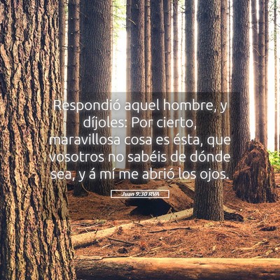 Picture 05 - Juan 9:30 RVA - Respondió aquel hombre, y díjoles: Por cierto, - Bible Verse Picture
