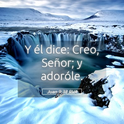 Picture 05 - Juan 9:38 RVA - Y él dice: Creo, Señor; y - Bible Verse Picture