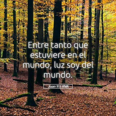 Picture 05 - Juan 9:5 RVA - Entre tanto que estuviere en el mundo, luz soy - Bible Verse Picture