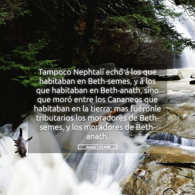 Picture 05 - Jueces 1:33 RVA - Tampoco Nephtalí echó á los que habitaban en - Bible Verse Picture