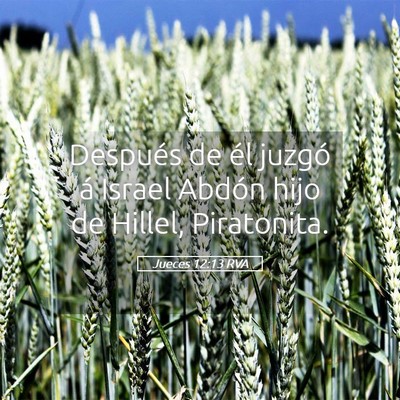 Picture 05 - Jueces 12:13 RVA - Después de él juzgó á Israel Abdón hijo de - Bible Verse Picture