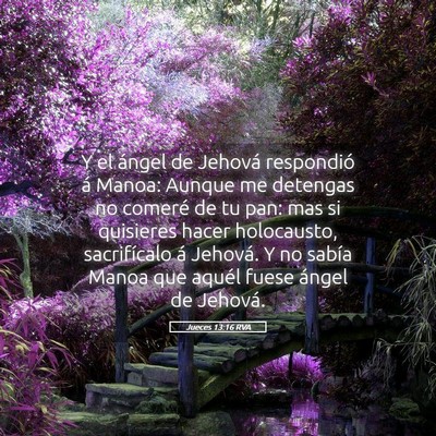 Picture 05 - Jueces 13:16 RVA - Y el ángel de Jehová respondió á Manoa: - Bible Verse Picture