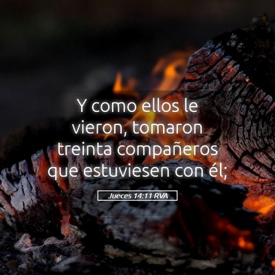 Picture 05 - Jueces 14:11 RVA - Y como ellos le vieron, tomaron treinta - Bible Verse Picture
