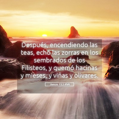 Picture 05 - Jueces 15:5 RVA - Después, encendiendo las teas, echó las zorras - Bible Verse Picture