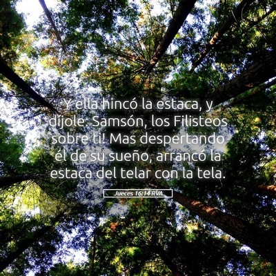 Picture 05 - Jueces 16:14 RVA - Y ella hincó la estaca, y díjole: ­Samsón, - Bible Verse Picture
