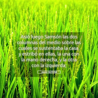 Picture 05 - Jueces 16:29 RVA - Asió luego Samsón las dos columnas del medio - Bible Verse Picture