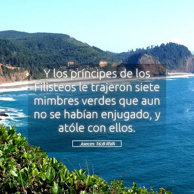 Picture 05 - Jueces 16:8 RVA - Y los príncipes de los Filisteos le trajeron - Bible Verse Picture