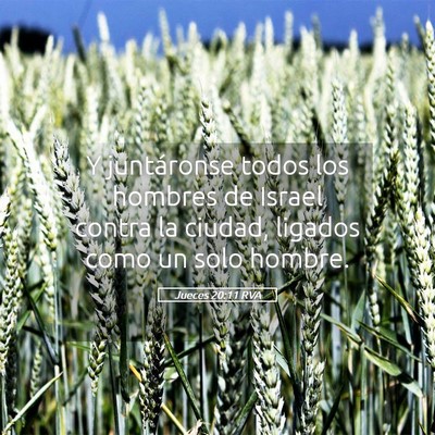 Picture 05 - Jueces 20:11 RVA - Y juntáronse todos los hombres de Israel contra - Bible Verse Picture