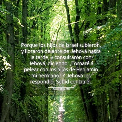 Picture 05 - Jueces 20:23 RVA - Porque los hijos de Israel subieron, y lloraron - Bible Verse Picture