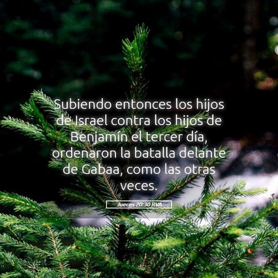 Picture 05 - Jueces 20:30 RVA - Subiendo entonces los hijos de Israel contra los - Bible Verse Picture