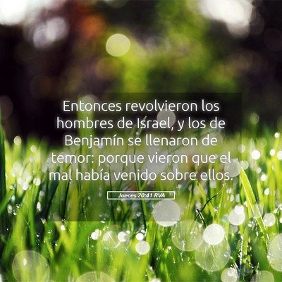 Picture 05 - Jueces 20:41 RVA - Entonces revolvieron los hombres de Israel, y los - Bible Verse Picture