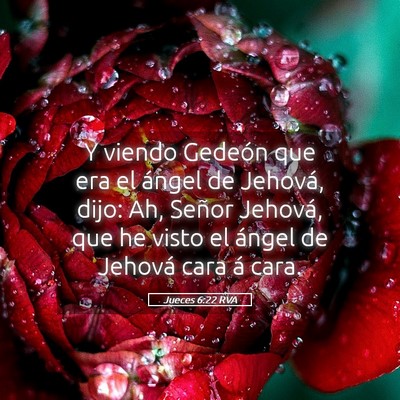 Picture 05 - Jueces 6:22 RVA - Y viendo Gedeón que era el ángel de Jehová, - Bible Verse Picture