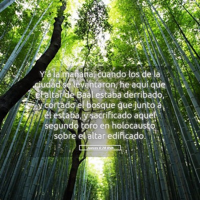 Picture 05 - Jueces 6:28 RVA - Y á la mañana, cuando los de la ciudad se - Bible Verse Picture