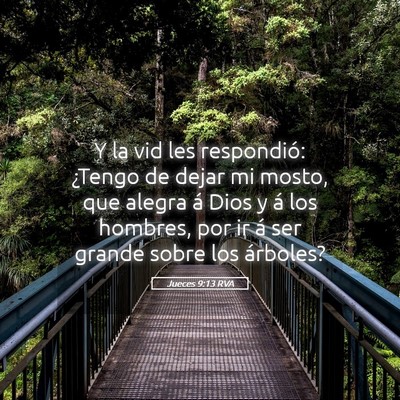 Picture 05 - Jueces 9:13 RVA - Y la vid les respondió: ¿Tengo de dejar mi - Bible Verse Picture