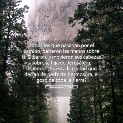 Picture 05 - Lamentaciones 2:15 RVA - Todos los que pasaban por el camino, batieron las - Bible Verse Picture