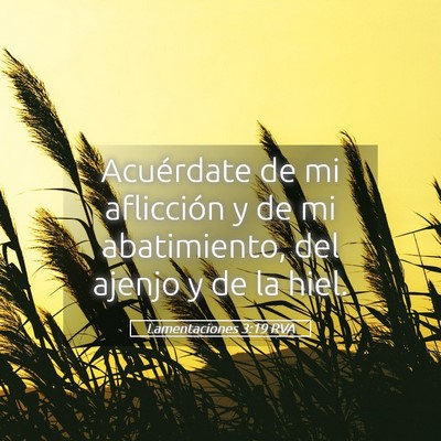 Picture 05 - Lamentaciones 3:19 RVA - Acuérdate de mi aflicción y de mi abatimiento, - Bible Verse Picture