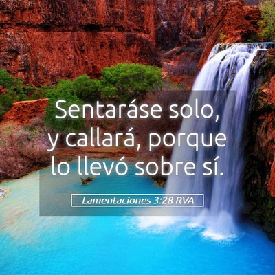 Picture 05 - Lamentaciones 3:28 RVA - Sentaráse solo, y callará, porque lo llevó - Bible Verse Picture