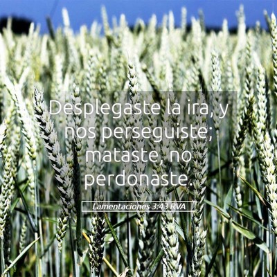 Picture 05 - Lamentaciones 3:43 RVA - Desplegaste la ira, y nos perseguiste; mataste, - Bible Verse Picture