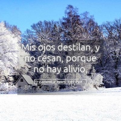 Picture 05 - Lamentaciones 3:49 RVA - Mis ojos destilan, y no cesan, porque no hay - Bible Verse Picture
