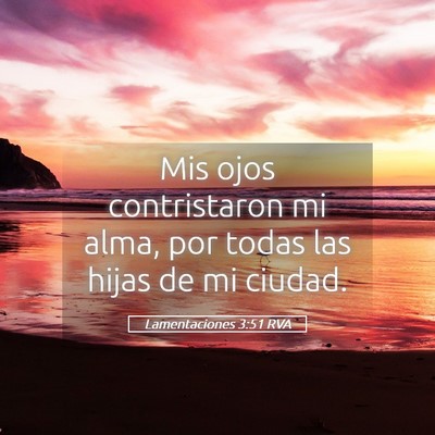 Picture 05 - Lamentaciones 3:51 RVA - Mis ojos contristaron mi alma, por todas las - Bible Verse Picture