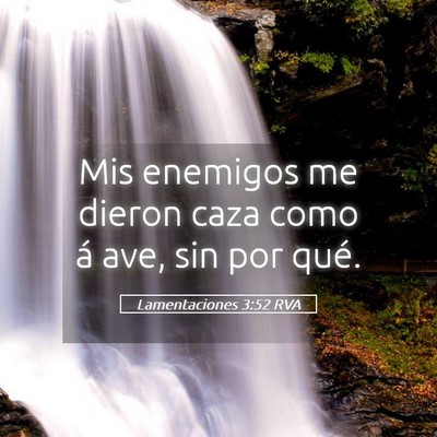 Picture 05 - Lamentaciones 3:52 RVA - Mis enemigos me dieron caza como á ave, sin por - Bible Verse Picture