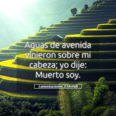 Picture 05 - Lamentaciones 3:54 RVA - Aguas de avenida vinieron sobre mi cabeza; yo - Bible Verse Picture