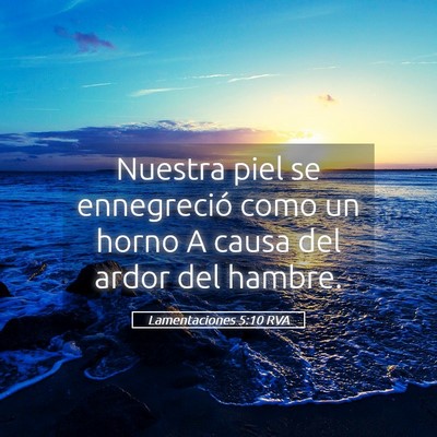 Picture 05 - Lamentaciones 5:10 RVA - Nuestra piel se ennegreció como un horno A causa - Bible Verse Picture