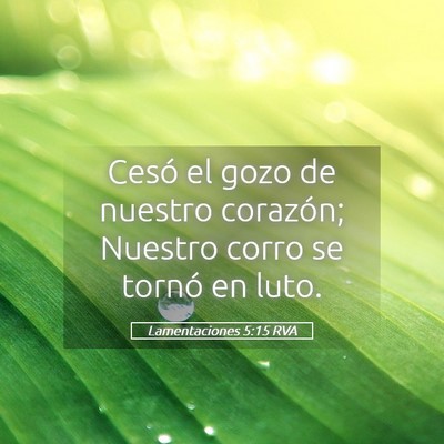 Picture 05 - Lamentaciones 5:15 RVA - Cesó el gozo de nuestro corazón; Nuestro corro - Bible Verse Picture