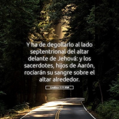Picture 05 - Levítico 1:11 RVA - Y ha de degollarlo al lado septentrional del - Bible Verse Picture